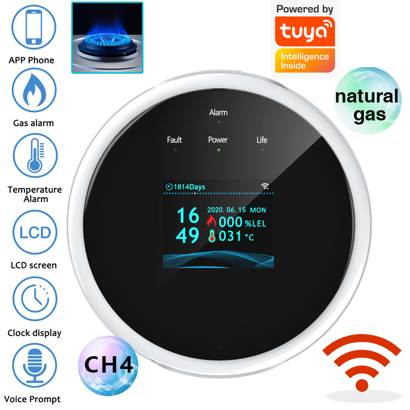 Home Security Gadgets - Sensore di Allarme Gas WiFi 2.4G,