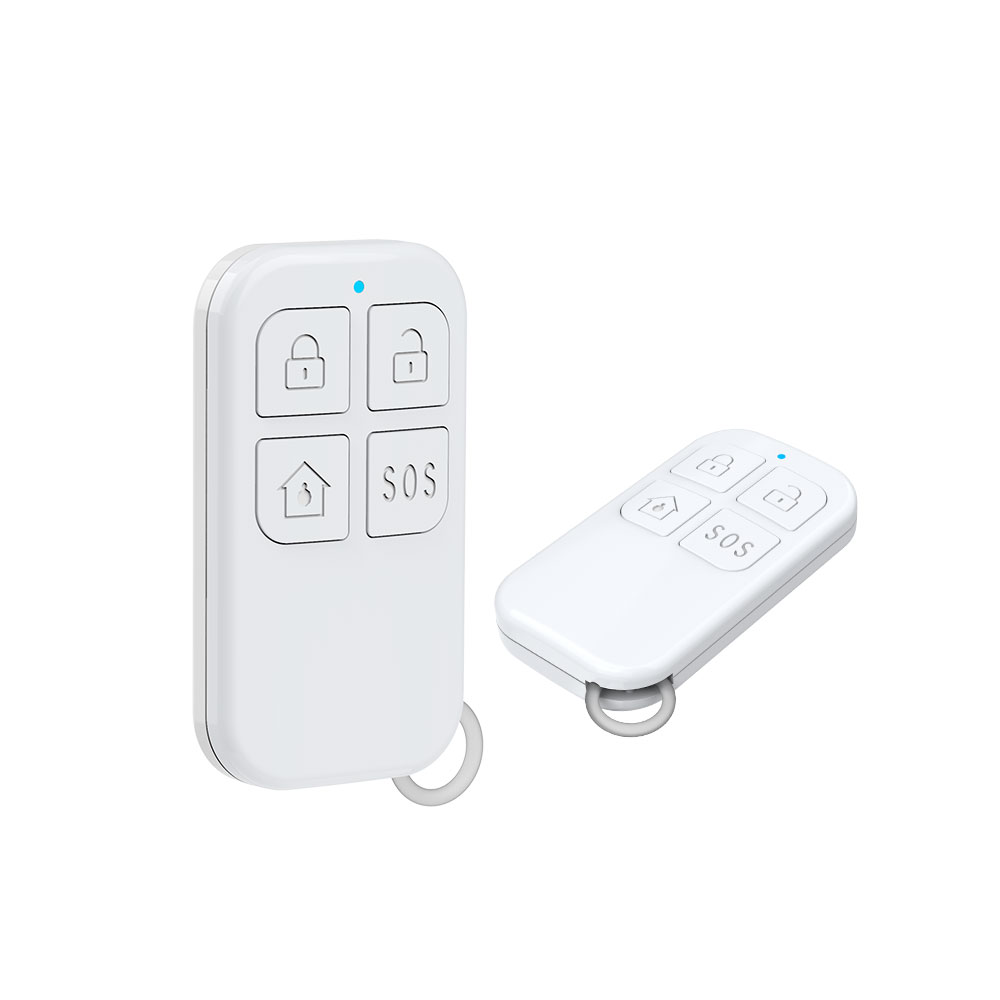 Rilevatore di telecomando wire - Home Security Gadgets recensione e prezzo