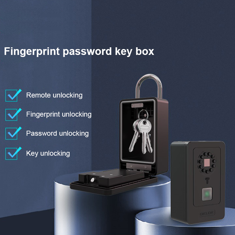Cassetta di Sicurezza Intellig - Home Security Safe recensione e prezzo