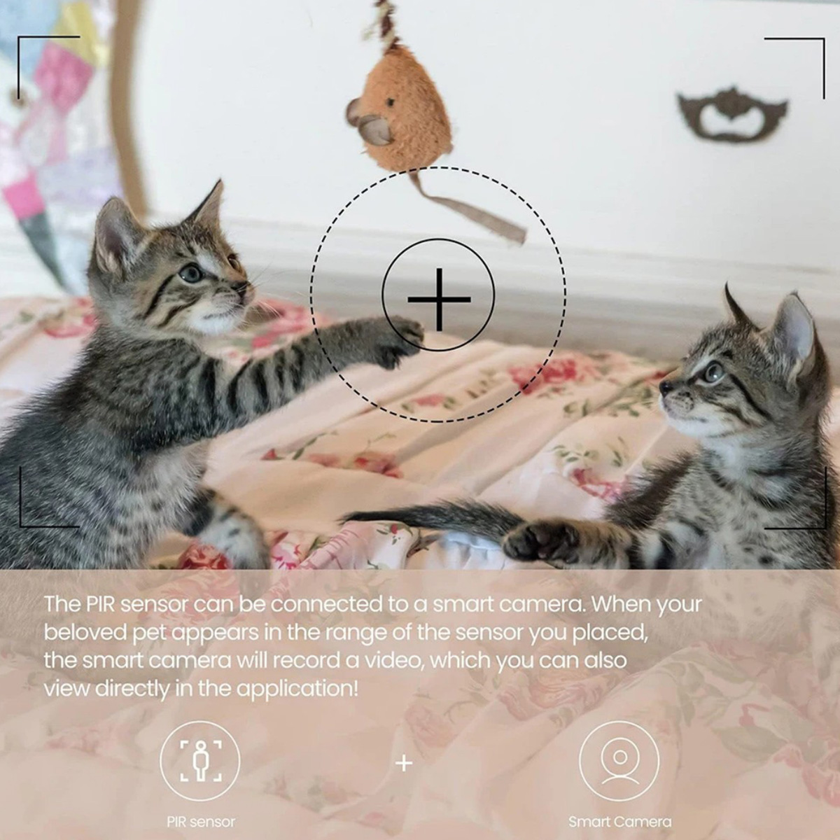 Sensore di Movimento PIR ZigBe - Home Security Gadgets recensione e prezzo