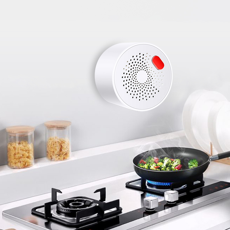 Tuya Smart Home Wifi sensore d - Home Security Gadgets recensione e prezzo