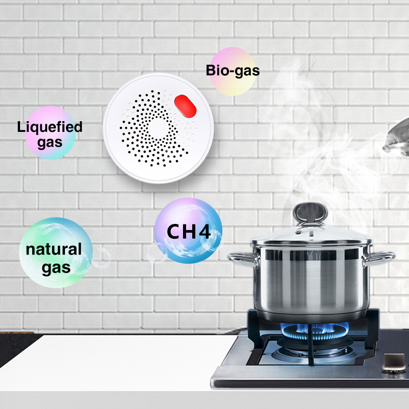 Tuya Smart Home Wifi sensore d - Home Security Gadgets recensione e prezzo